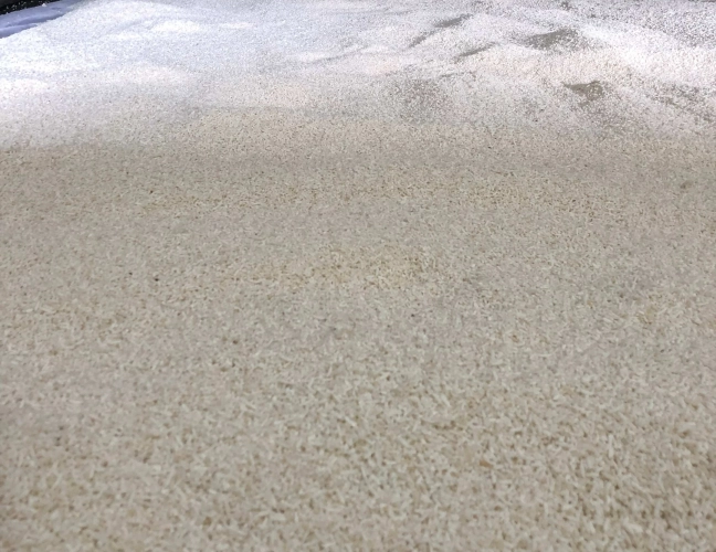 2. Inoculação (Tanetsuke)