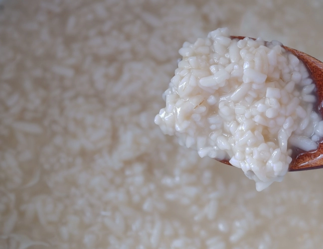 2. Fermentação e maturação — dez dias