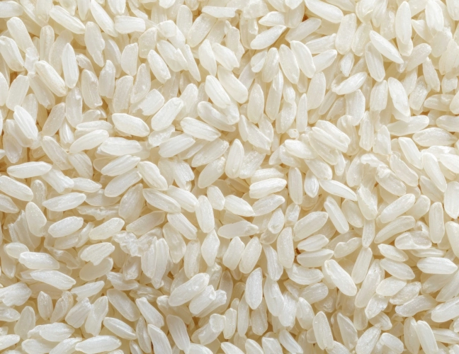1. Seleção, lavagem e hidratação do arroz orgânico